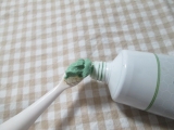 「お気に入りの歯磨き粉・グリーンプロポリストゥースペースト」の画像