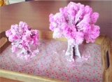 口コミ：『Magic桜』を咲かせてみるの画像（2枚目）