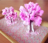 口コミ：『Magic桜』を咲かせてみるの画像（3枚目）