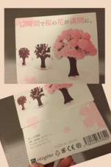 口コミ：応援歌　～合格祈願！サクラ・・・咲け！　Magic 桜の画像（6枚目）