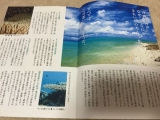 口コミ：綺麗な群青色★珊瑚の石けんの画像（6枚目）