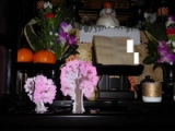 口コミ：マジック桜★12時間で満開の綺麗な桜♪お部屋が和みます！の画像（9枚目）