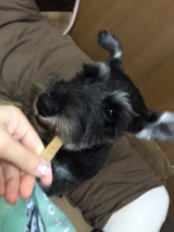 口コミ：愛犬にはいいものを食べさせたい♡の画像（4枚目）