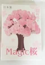 口コミ記事「幸せを呼び込んでくれる＆とってもかわいい♡マジック桜」の画像