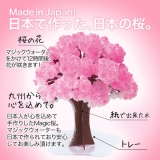 口コミ：12時間で咲くサクラ♡Magic桜♡の画像（10枚目）