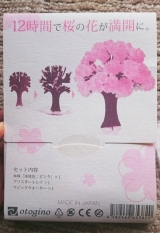 口コミ：12時間で咲くサクラ♡Magic桜♡の画像（8枚目）