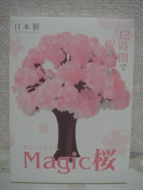 口コミ：【一足早く満開の桜を見た】マジック桜♪の画像（15枚目）