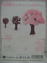 口コミ：【一足早く満開の桜を見た】マジック桜♪の画像（14枚目）