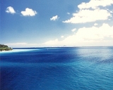 口コミ：沖縄産の風化造礁サンゴ100%使用♡珊瑚の石けんの画像（16枚目）