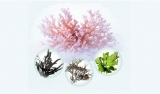口コミ：沖縄産の風化造礁サンゴ100%使用♡珊瑚の石けんの画像（12枚目）