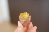 口コミ：食べ比べ♪長崎五島列島ごと芋！の画像（3枚目）