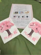 口コミ記事「うちの桜」の画像