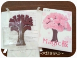 口コミ記事「おとぎの国♡Magic桜」の画像