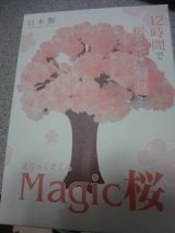 口コミ記事「マジック桜」の画像