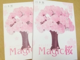 口コミ記事「マジック桜【OTOGINO】」の画像