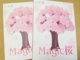 口コミ：マジック桜【OTOGINO】の画像（7枚目）