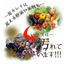 口コミ記事「鮮度UPで美味しい野菜を☆野菜洗浄剤「安全野菜のもと」」の画像