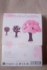 口コミ：マジック桜 Made in Japanの画像（3枚目）