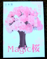 口コミ記事「マジック桜MadeinJapan」の画像