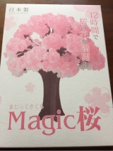 口コミ：Magic桜 　★桜を一足先に★の画像（4枚目）