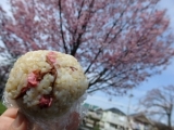 口コミ記事「桜を思う存分楽しまなくっちゃね！」の画像