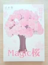 口コミ：Magic桜♡の画像（8枚目）