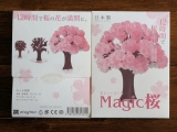 口コミ記事「家の中でお花見ができちゃう「マジック桜」」の画像