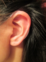 口コミ：EARHOOK（イヤーフック）～ 日本の医師が開発した耳かけリラクゼーションギア～の画像（1枚目）
