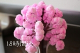 口コミ：家の中でお花見ができちゃう「マジック桜」の画像（3枚目）