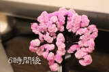 口コミ：家の中でお花見ができちゃう「マジック桜」の画像（5枚目）