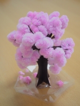 口コミ：〈モニター〉マジック桜で猫とお花見気分♪の画像（2枚目）