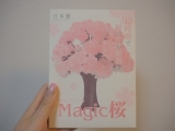口コミ：〈モニター〉マジック桜で猫とお花見気分♪の画像（5枚目）