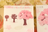口コミ：12時間で咲く不思議な桜！　〜Magic 桜〜の画像（15枚目）