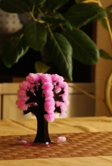 口コミ：12時間で咲く不思議な桜！　〜Magic 桜〜の画像（4枚目）