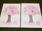 口コミ：お部屋で桜が満開！お花見♪マジック桜 Made in Japanの画像（6枚目）