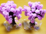 口コミ：お部屋で桜が満開！お花見♪マジック桜 Made in Japanの画像（3枚目）