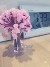 口コミ：お家の中でお花見ができる！？Magic桜♡の画像（2枚目）