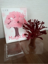 口コミ記事「お家の中でお花見ができる！？Magic桜♡」の画像