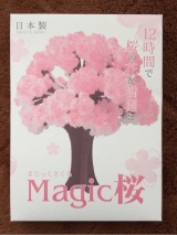 口コミ：マジック桜　モニターの画像（11枚目）