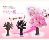 口コミ：12時間で本物の桜のよう＆出産や結婚のお祝いにも♡マジック桜 Made in Japanの画像（17枚目）