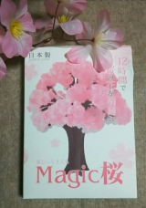 口コミ記事「モニター報告/マジック桜」の画像