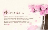口コミ：12時間で本物の桜のよう＆出産や結婚のお祝いにも♡マジック桜 Made in Japanの画像（11枚目）