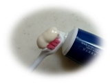 口コミ：・歯のトラブル予防に『aiデンタルペースト』の画像（1枚目）