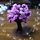 口コミ：Magic桜モニター体験の画像（8枚目）