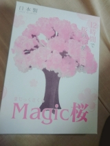 口コミ記事「magic桜」の画像