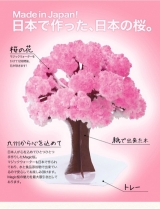 口コミ：魔法の水でおウチの中に桜が満開♡の画像（1枚目）