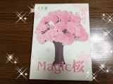 口コミ記事「Magic桜モニター体験」の画像