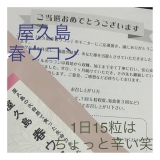 口コミ記事「屋久島春ウコンモニター完了についてのレポート」の画像