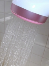 口コミ：☆肌や髪にやさしい浄水シャワー【トレビーノ トレシャワーRS52】☆の画像（2枚目）