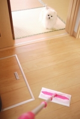 口コミ：【リンレイ】ペット用　室内犬のための『滑り止め床用コーティング剤』の画像（6枚目）